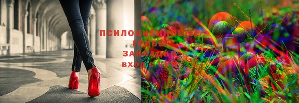 ECSTASY Белоозёрский